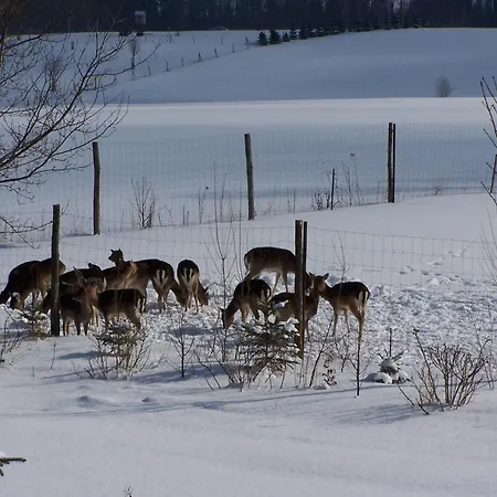 Abendroth 3* Mittelbach