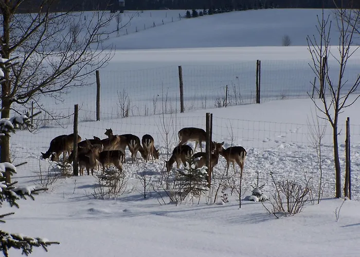 Abendroth 3* Mittelbach